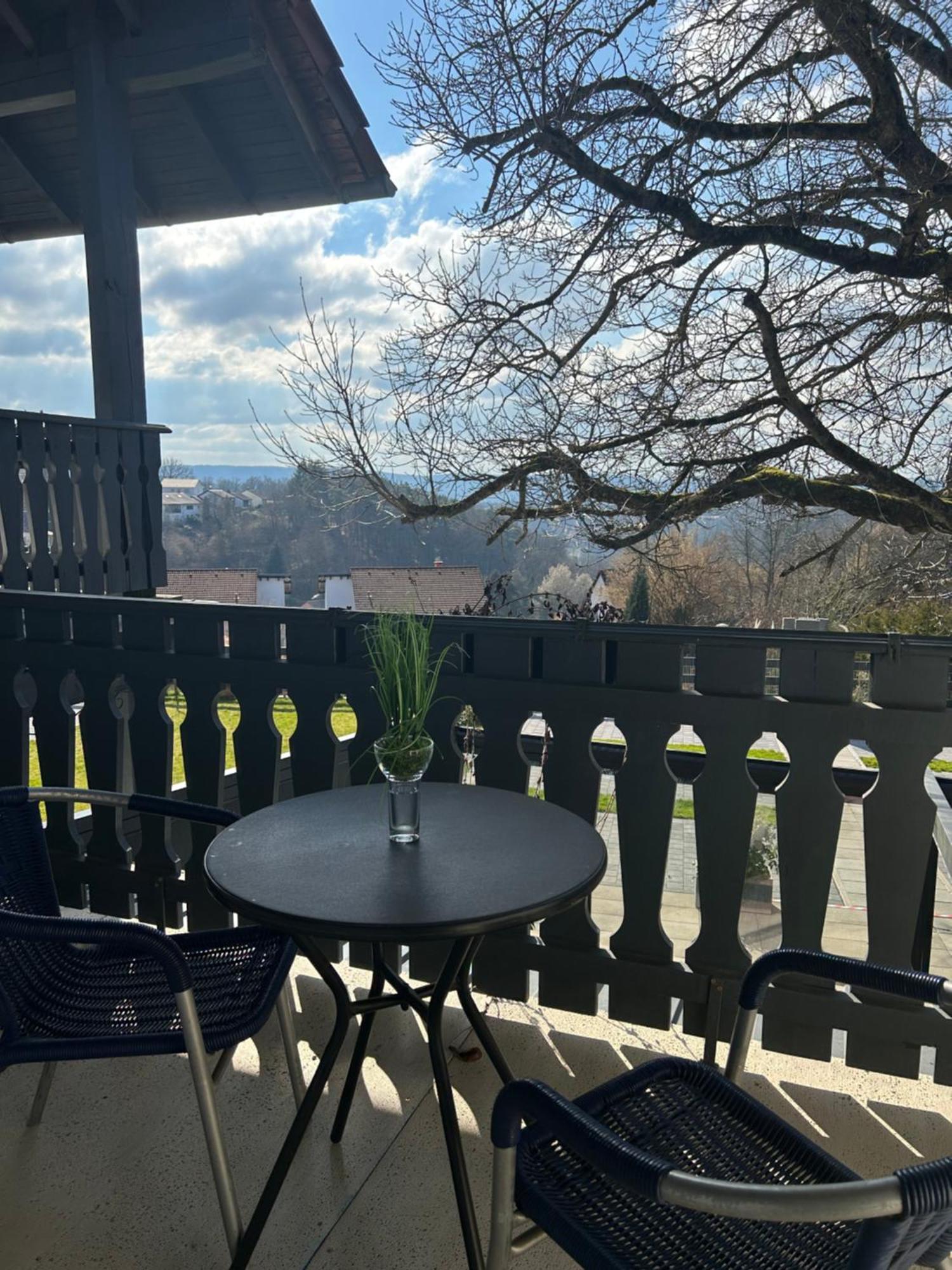 Hotel Hasselberg Кайзерслаутерн Екстериор снимка